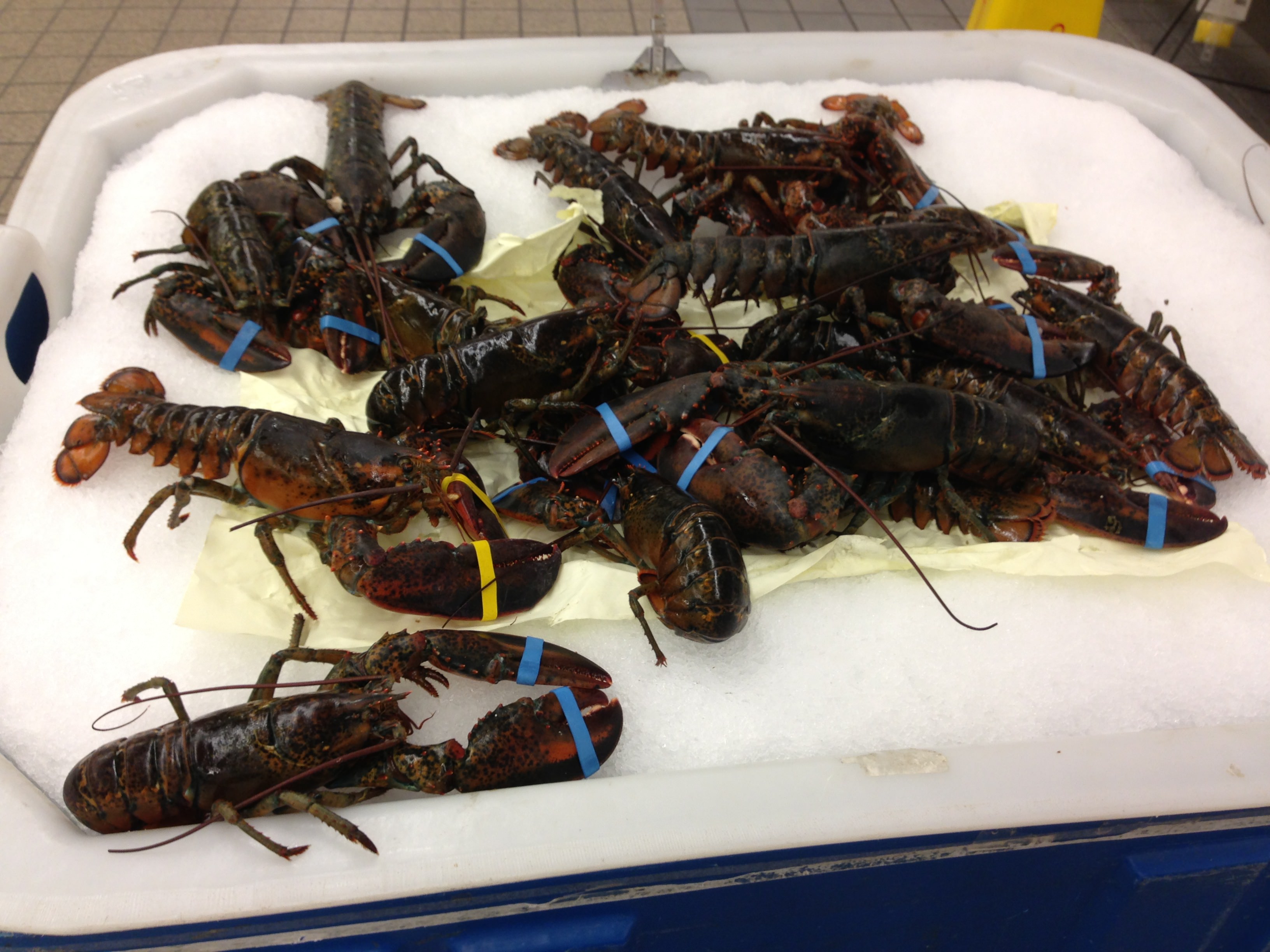 Lobsters On deck make for a great Father’s Day BBQ!