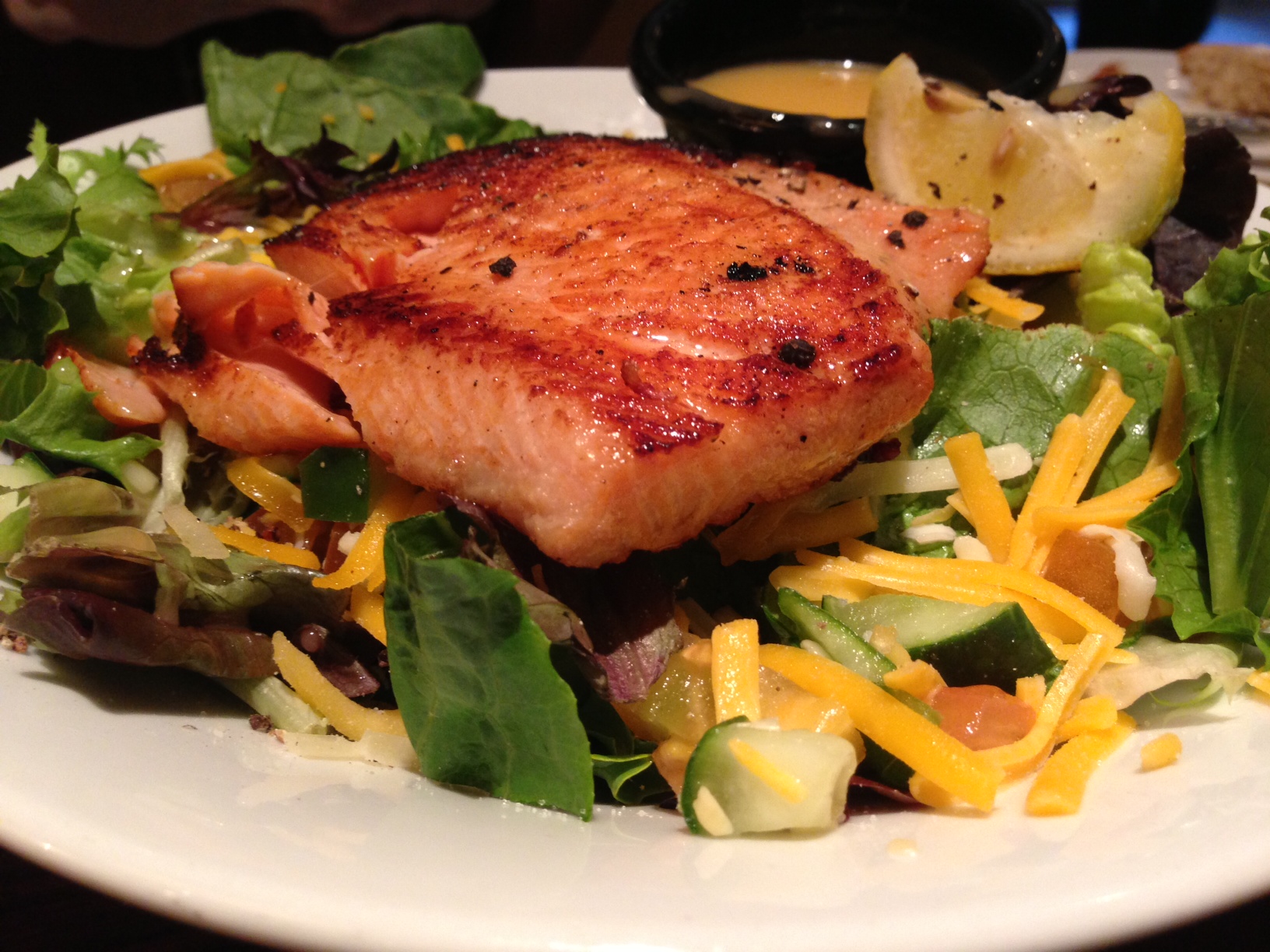 Grilled salmon over a bed of salad